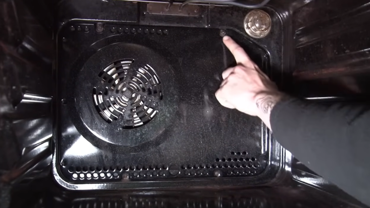 Remove the four screws around the backplate.